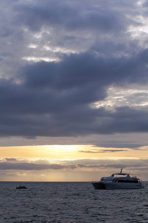 North Seymour, Galapagos Islands 371.jpg